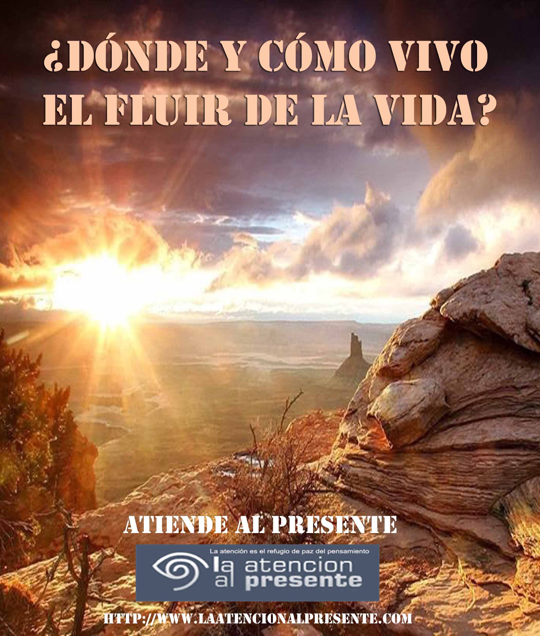 12 de Octubre Pepe Donde y como vivo el fluir de la vida min