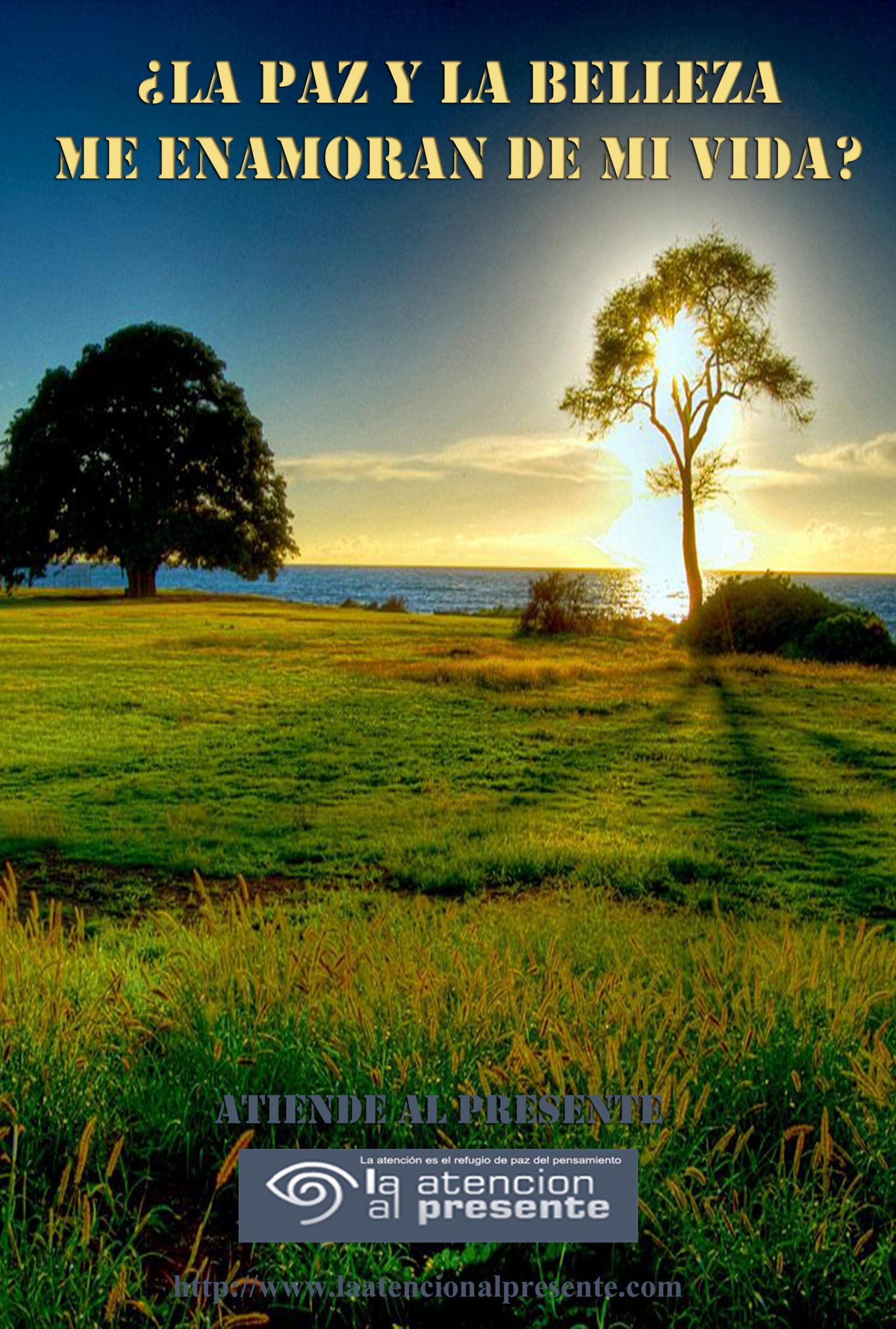 21 de octubre Pepe La Paz y la Belleza me enamoran de mi vida min scaled