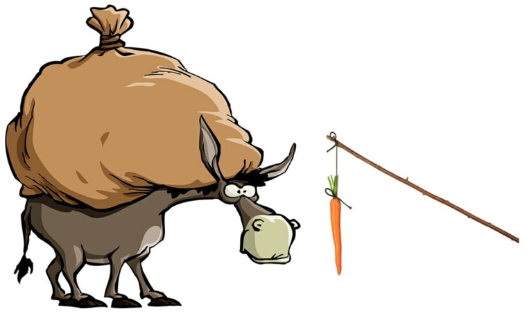 12 de Diciembre Pepe ¿El camino del deseo termina en la frustracion min