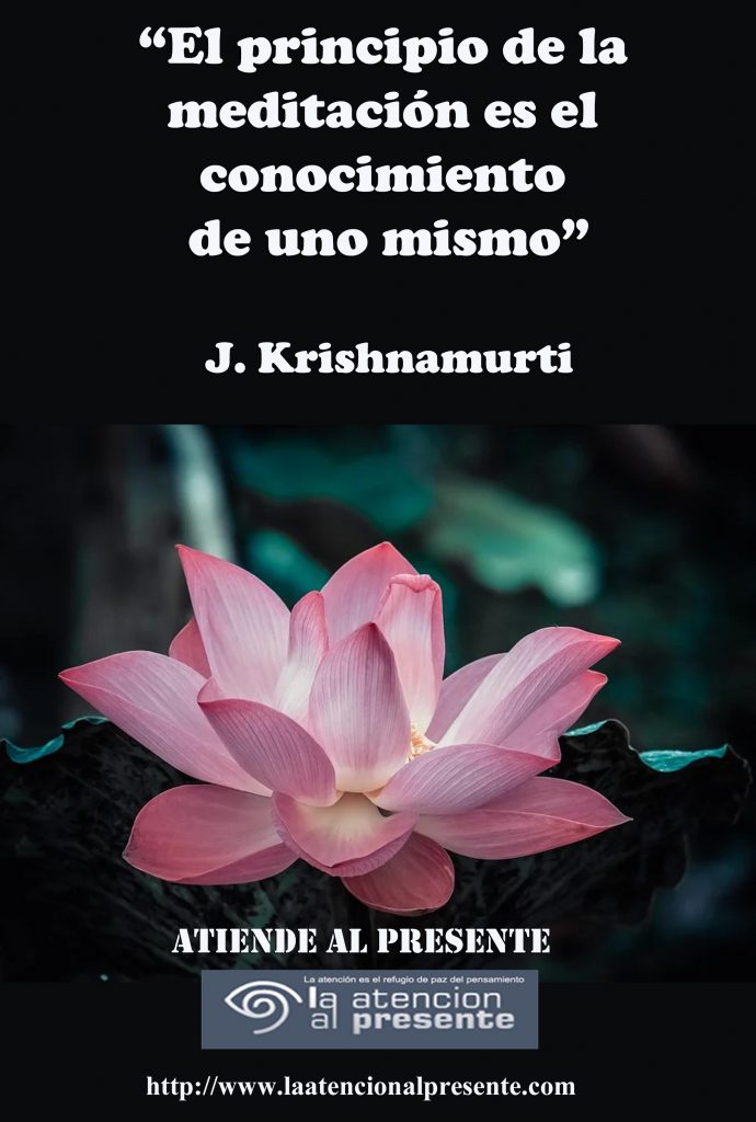 El principio de la meditación es el conocimiento de uno mismo